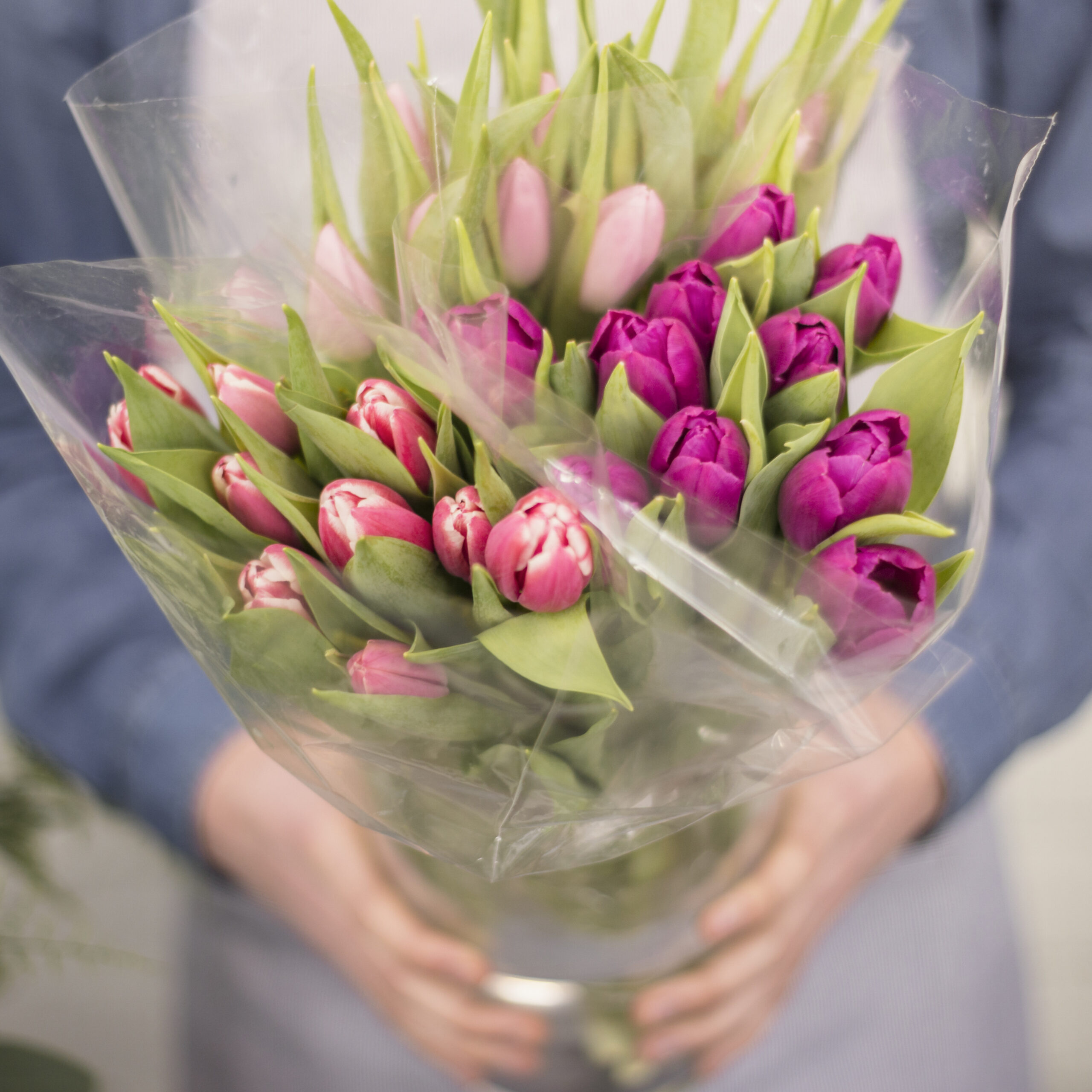 close-up-male-florist-holding-pink-tulip-flower-bouquet
